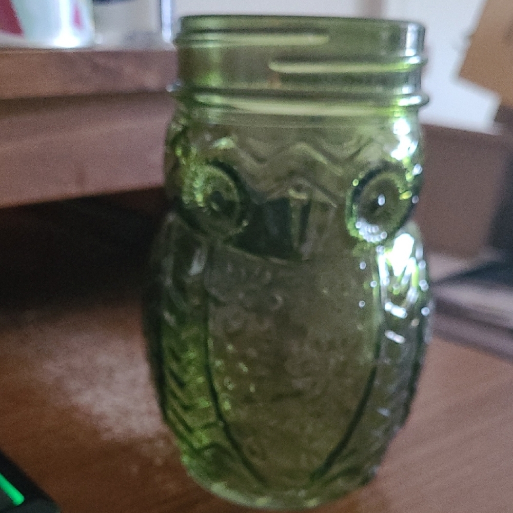 Green Owl Shaped Glass Jar